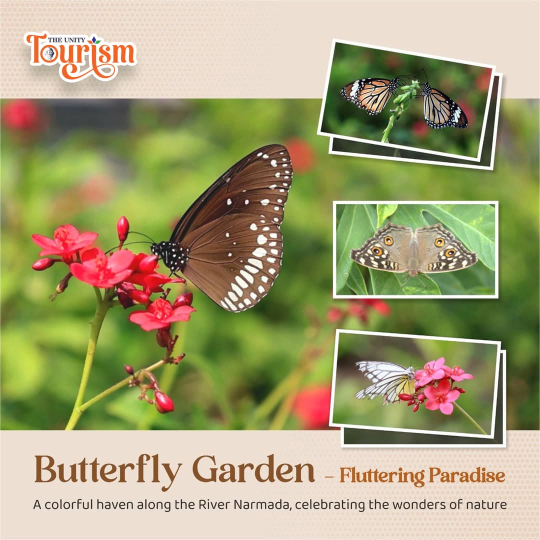 Butterfly Garden at Statue of Unity – Colorful butterflies on flowers along River Narmada