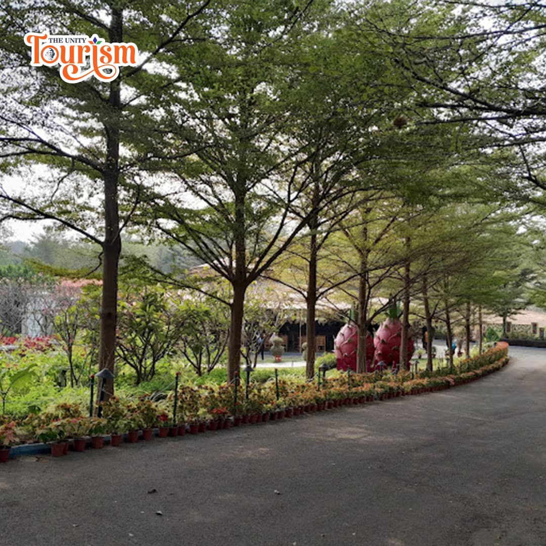 Rare succulent plants and unique landscaping at Cactus Garden Statue of Unity