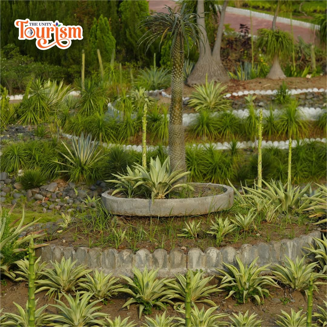 Different cactus species arranged in circular beds at Cactus Garden Statue of Unity