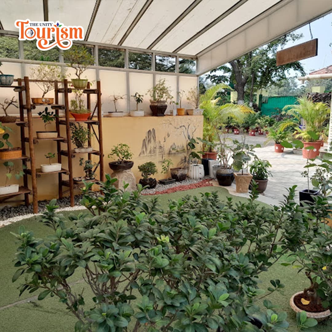 Saplings and ornamental plants displayed at Ekta Nursery for eco-tourism visitors