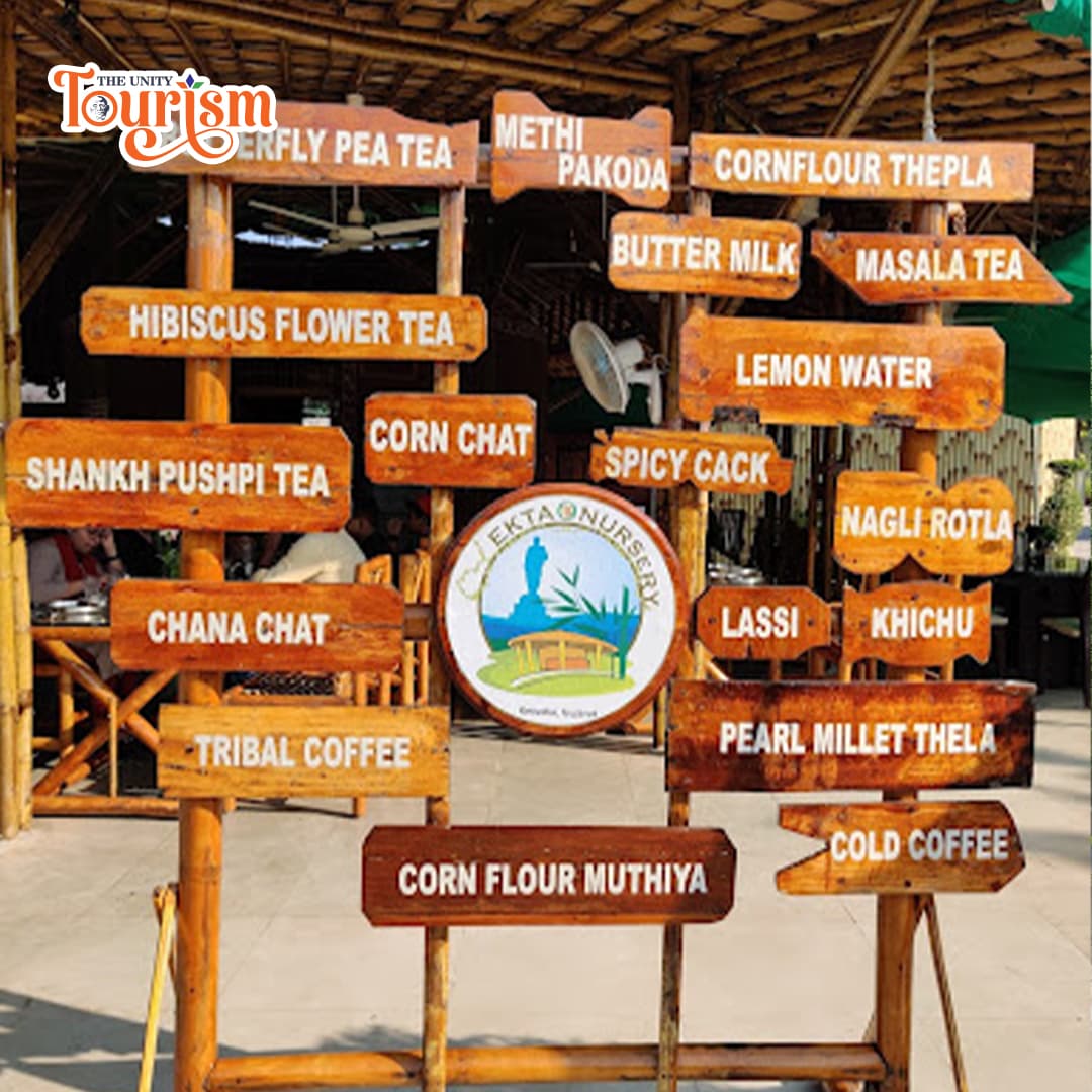 Variety of indoor and outdoor plants for sale at Ekta Nursery