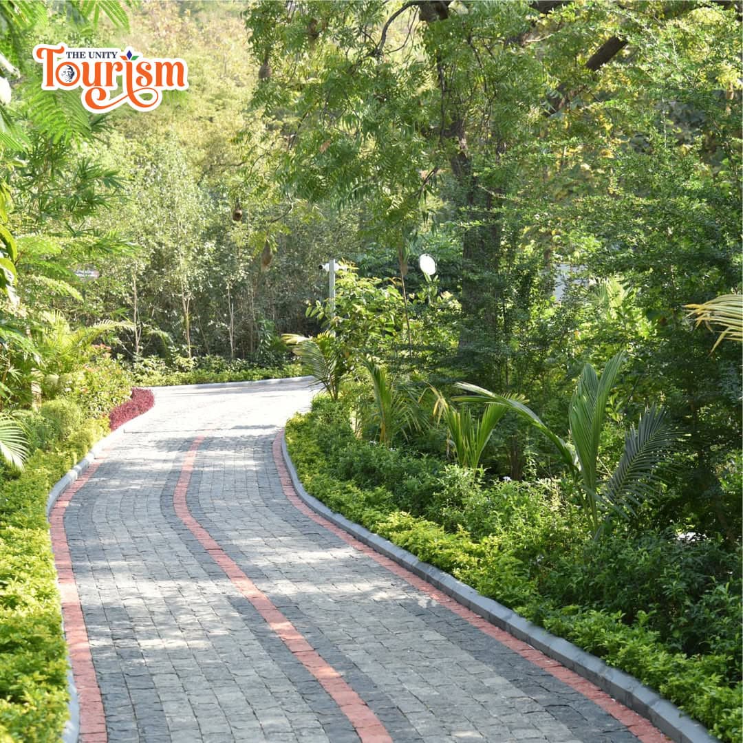 Curved stone pathway inside lush Miyawaki Forest at The Unity Tourism