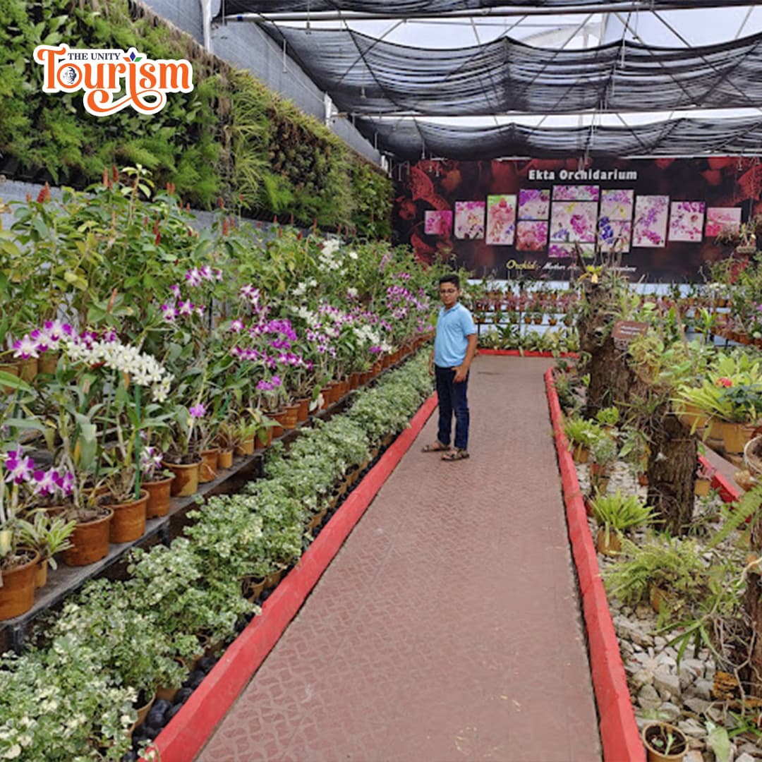 Bonsai plants and decorative greenery at Ekta Nursery Statue of Unity