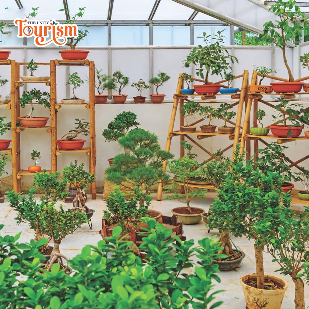 Beautiful floral arrangements and greenery at Valley of Flowers garden.