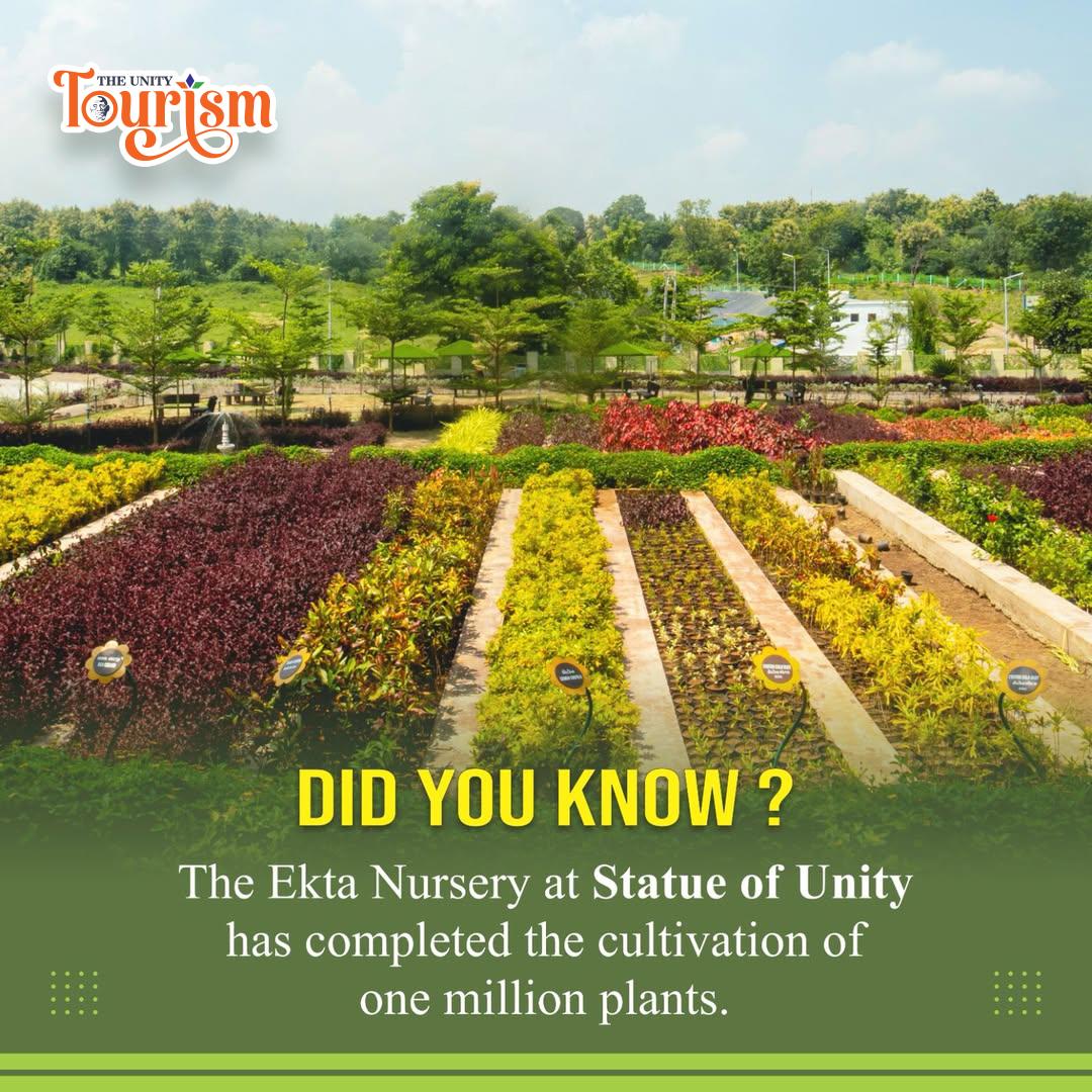 Lush Valley of Flowers showcasing diverse plants and vibrant blossoms.