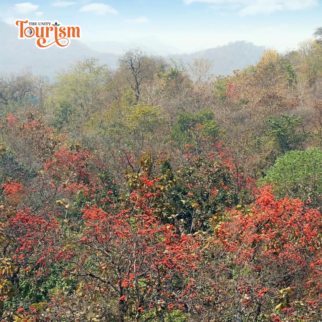 Eco-tourism experience with Kesuda flowers and natural beauty around Statue of Unity.